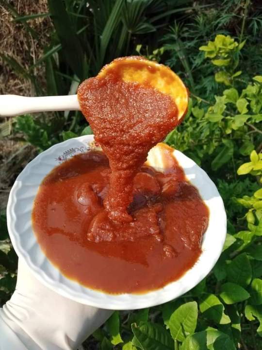 Rajshahi Organic Dana Khejur Gur / Organic Date Molasses - 2kg